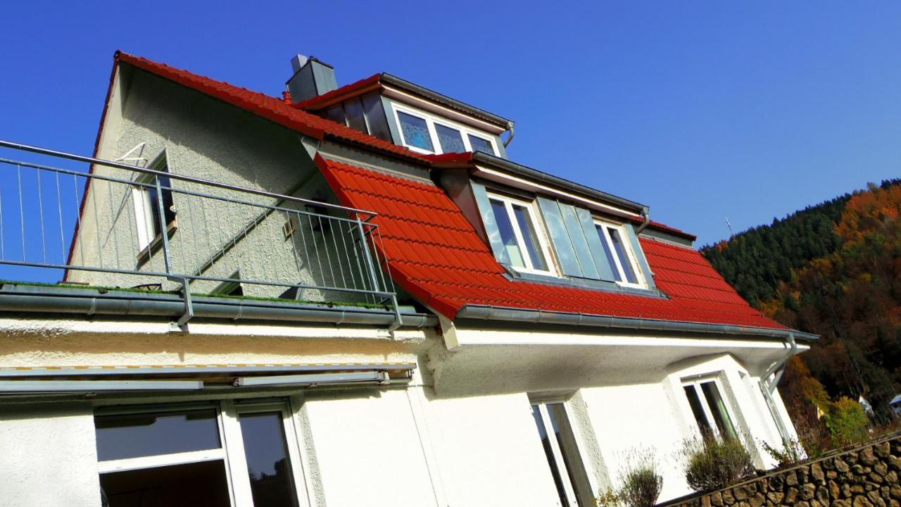 Villa Fink Schramberg Exterior foto