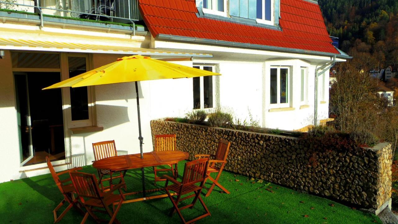 Villa Fink Schramberg Exterior foto