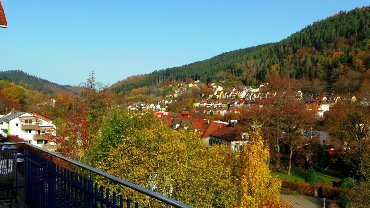 Villa Fink Schramberg Exterior foto