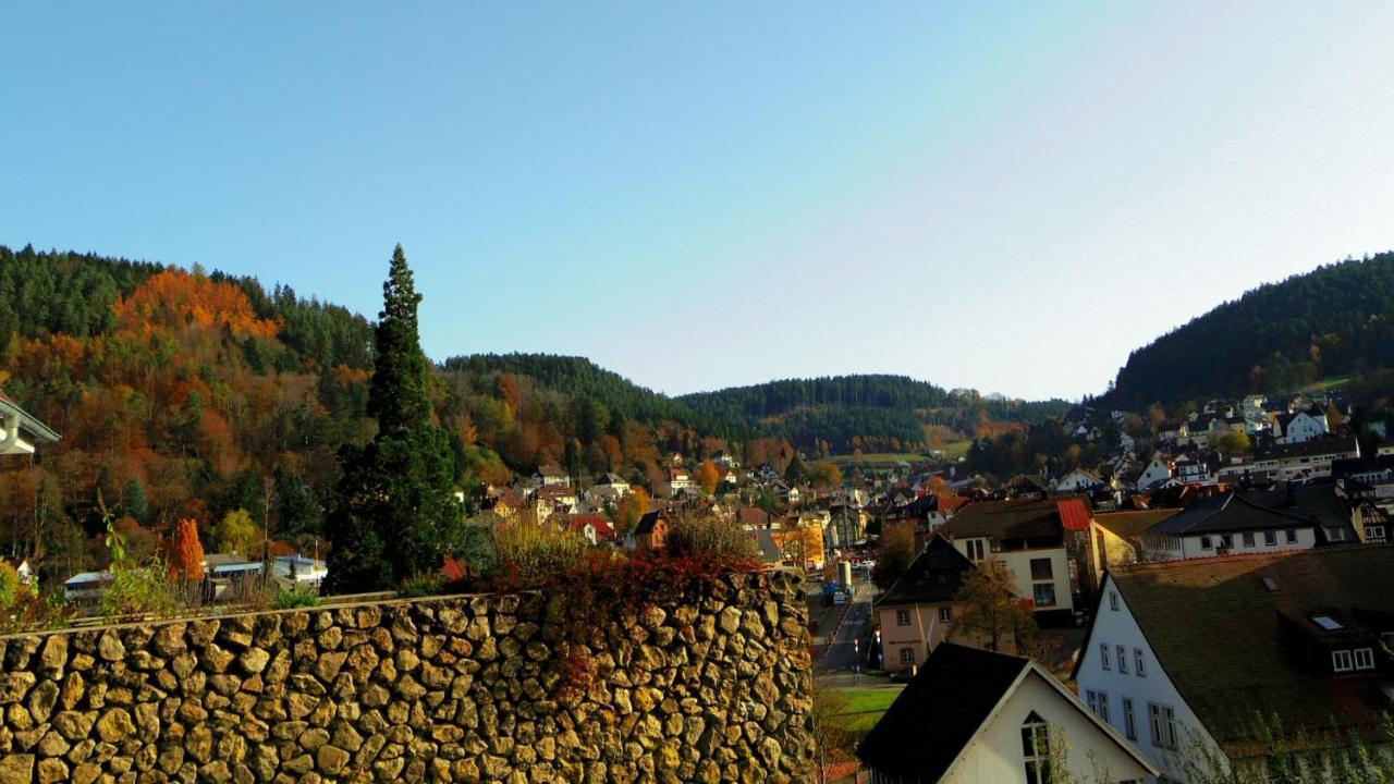 Villa Fink Schramberg Exterior foto