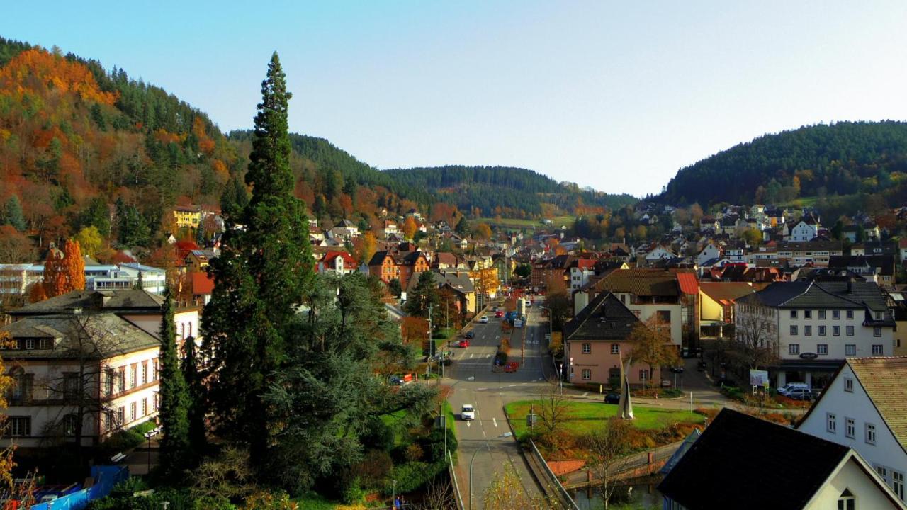 Villa Fink Schramberg Exterior foto
