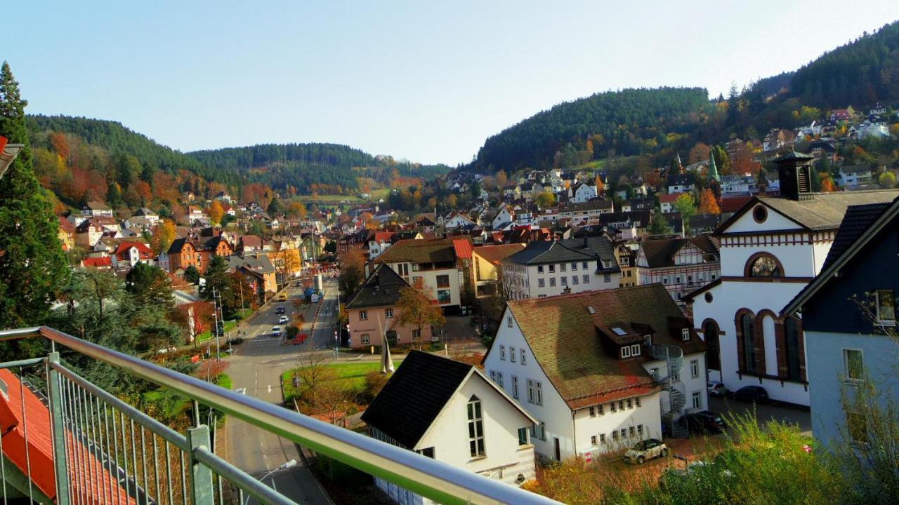 Villa Fink Schramberg Exterior foto