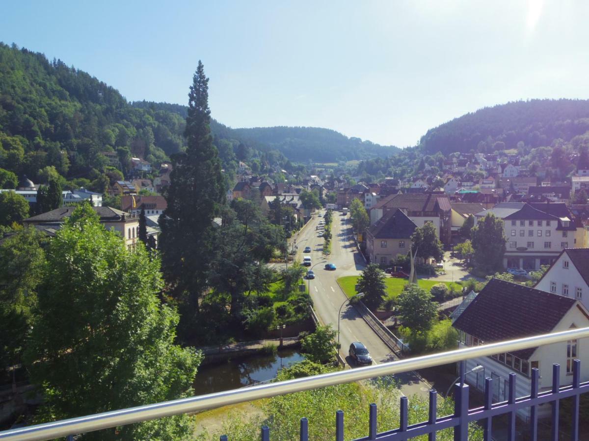 Villa Fink Schramberg Exterior foto